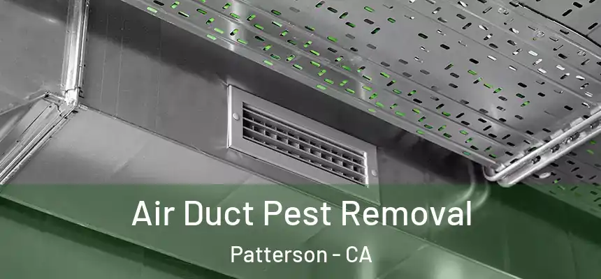  Air Duct Pest Removal Patterson - CA