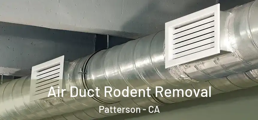  Air Duct Rodent Removal Patterson - CA