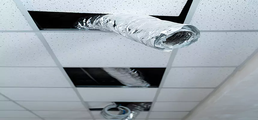 Our Air Duct Pet Hair Removal Services in Patterson, CA