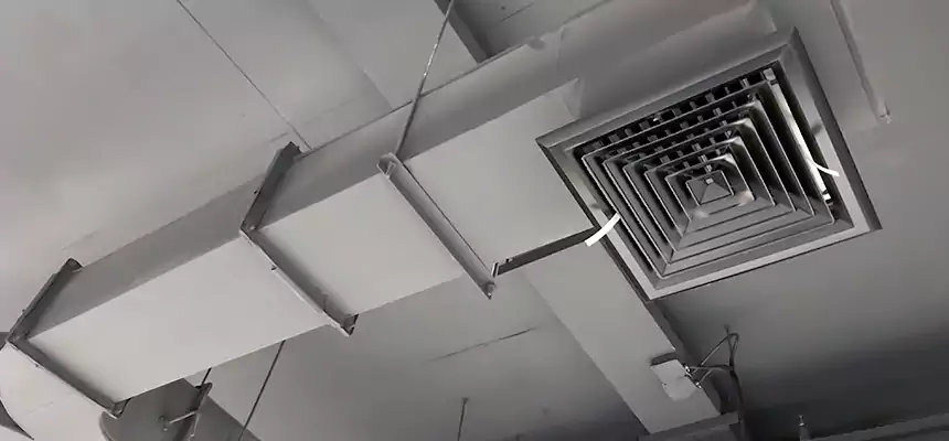 Restorative Allergy Relief Vent Cleaning – Coil, Blower & Housing Detail in Patterson