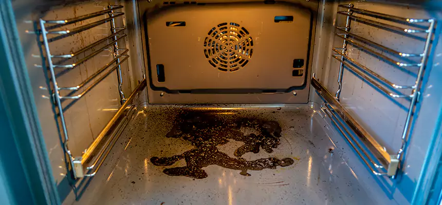 Our Dryer Vent Mold Cleaning Services in Patterson, CA