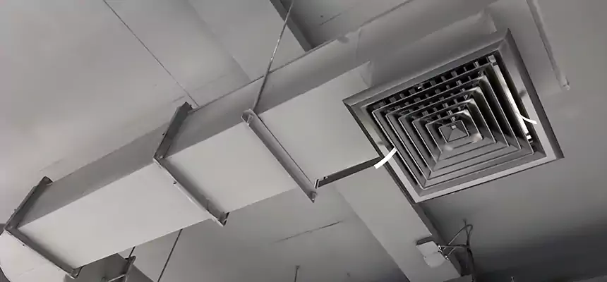 Our Pest Removal From Ducts Services in Patterson, CA