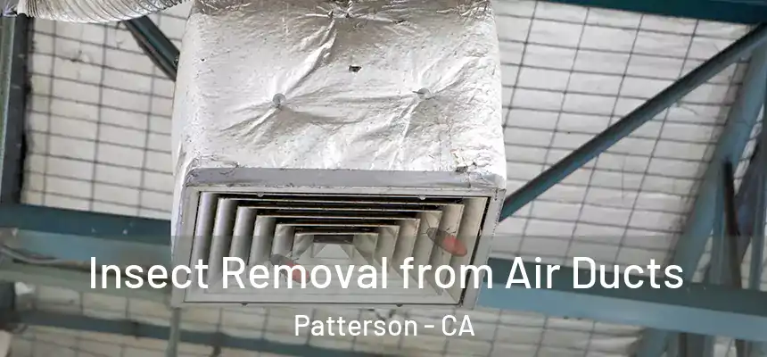  Insect Removal from Air Ducts Patterson - CA