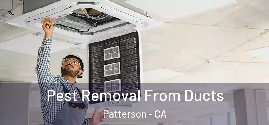 Pest Removal From Ducts Patterson - CA