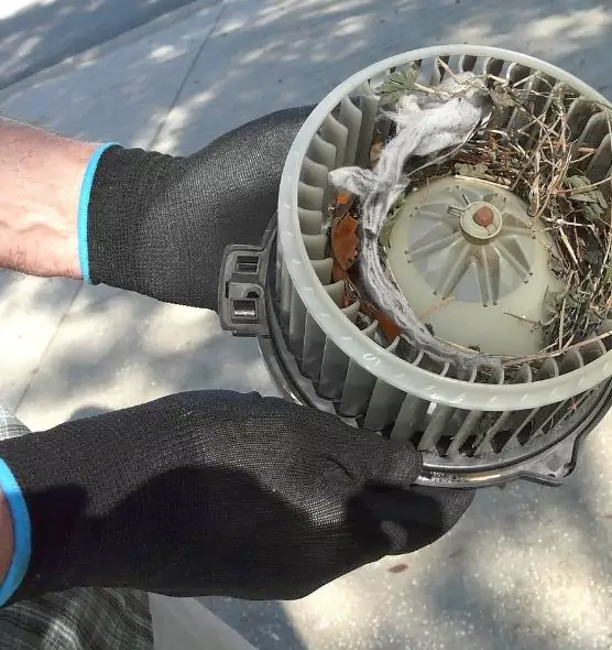 About Air Duct Rat Removal in Patterson, CA