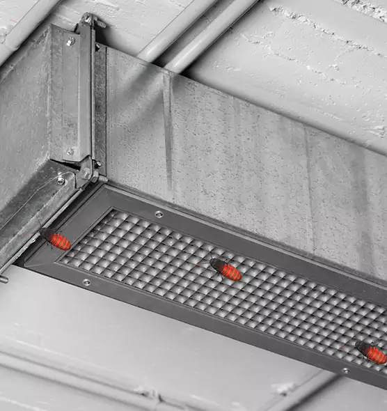 Affordable Insect Removal from Air Ducts in Patterson, CA