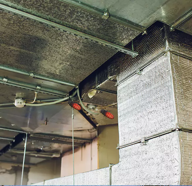 Why Homeowners & Businesses Trust Us in Patterson, CA?